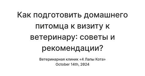 Заранее привыкайте кота к автомобилю