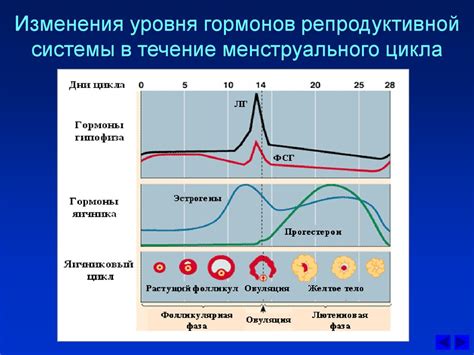 Зачем нужна системная проверка уровня гормонов?