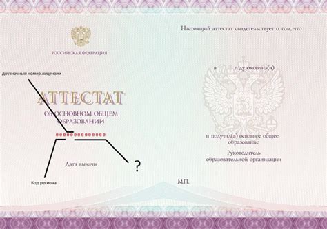 Зачем нужно знать серию и номер аттестата