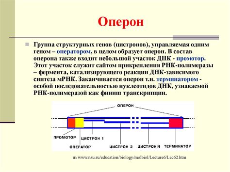 Зачем нужно определение гена