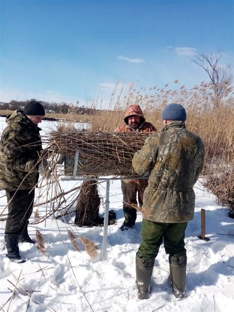 Защита гнезда от хищников