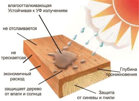 Защита от повторного гниения