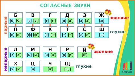 Звуки в русском языке: что такое твердые согласные звуки во 2 классе