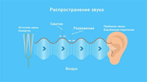 Звукоизоляционность и акустические свойства мяль