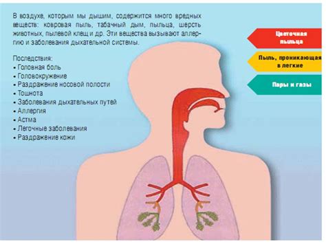 Здоровье и недостаток воздуха: как влияет на наше физическое состояние