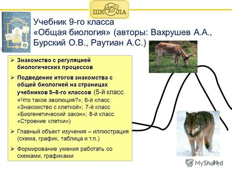 Знакомство с биологией медведки