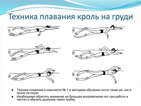 Знание правил и техники плавания