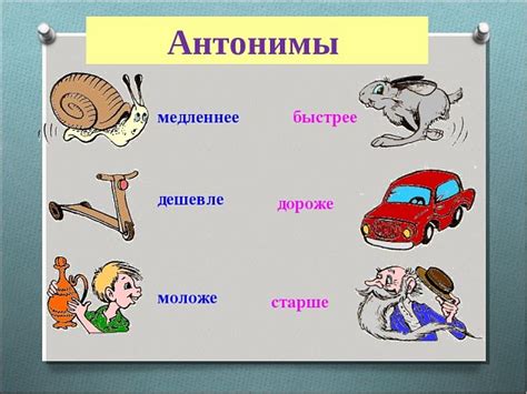 Значение антонимов в языке