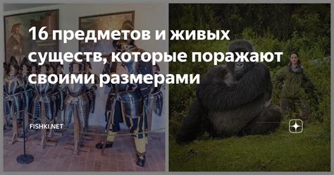 Значение взаимодействия предметов и живых существ