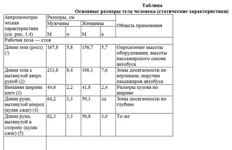 Значение длины носа в пропорциональных отношениях