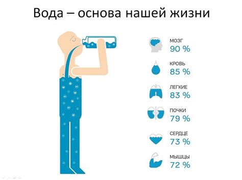 Значение достаточного потребления воды