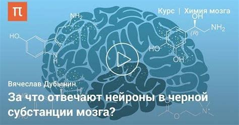 Значение дофамина для женского организма