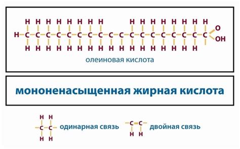 Значение жирных кислот для боксеров