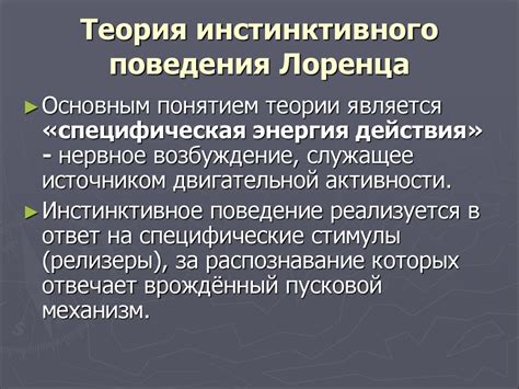 Значение изучения инстинктов в обществознании для понимания социальных процессов