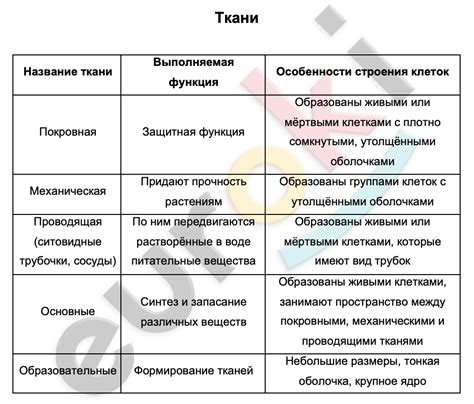 Значение изучения основной ткани в медицине и науке