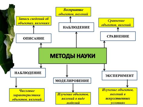 Значение изучения природы в биологической науке