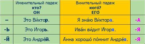 Значение и важность различия между родительным и винительным падежами местоимений