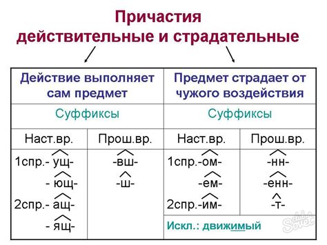 Значение и функции действительного причастия в русском языке