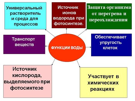 Значение и функции коллектора воды