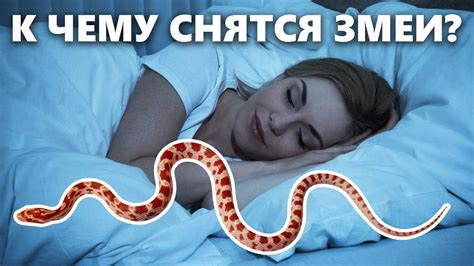 Значение мертвой змеи во сне