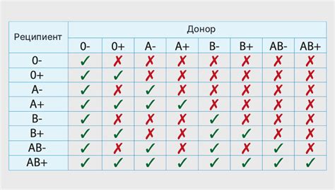 Значение первой положительной группы крови