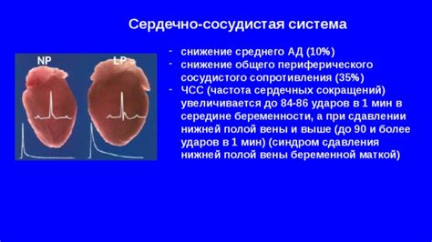 Значение повышенного периферического сосудистого сопротивления