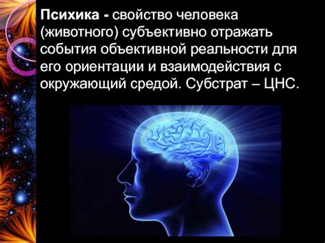 Значение понимания объективной реальности для человека