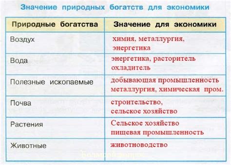 Значение природных богатств для экономики и общества