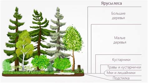 Значение растительности и перекрытия деревьями