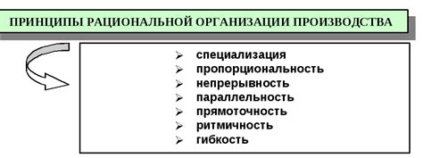 Значение рациональной организации производственных процессов