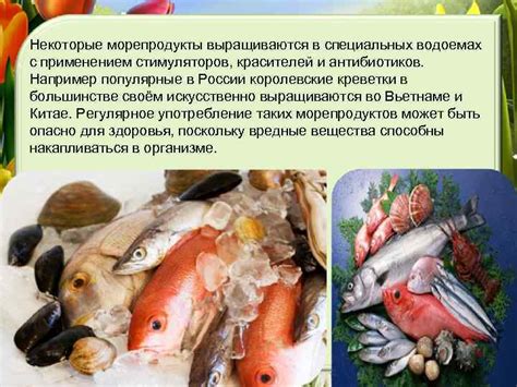 Значение рыбы и морепродуктов в питании