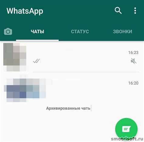 Значение трубки с плюсом в WhatsApp