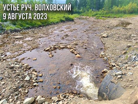 Значение чистоты воды в ручье