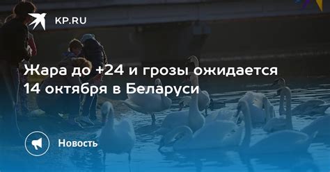 Значение 14 октября в современной Беларуси