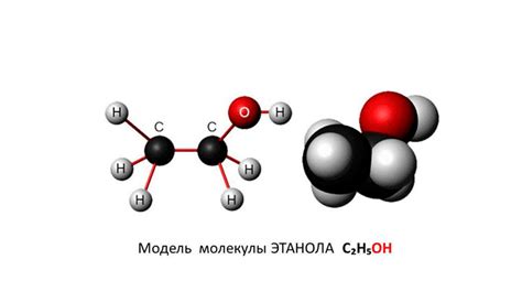 Значимость разложения этилового спирта для организма