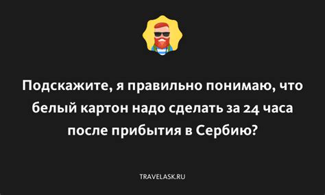 Игры и развлечения в WhatsApp: что можно сделать за 24 часа