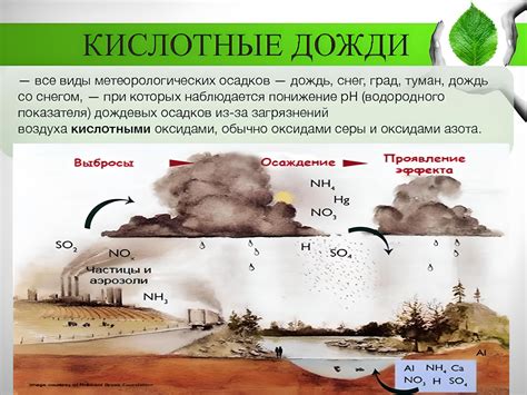 Изменение климата: негативное влияние на экосистемы