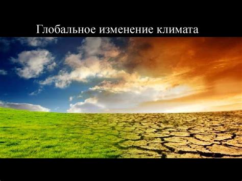 Изменение климата и его последствия: проблемы, решения и вызовы для нашего будущего