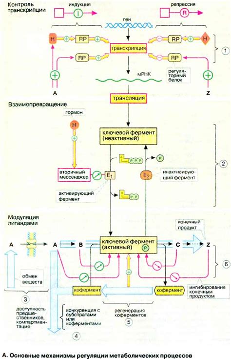 Изменение метаболических процессов