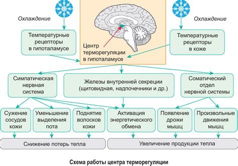 Изменение реакции организма