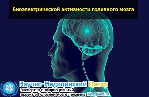 Изменения в биоэлектрической активности головного мозга: причины и последствия