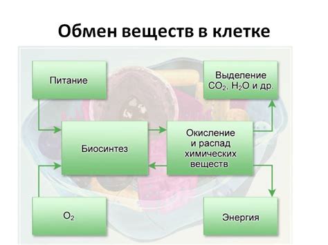 Изменения в обмене веществ и опустошение запасов