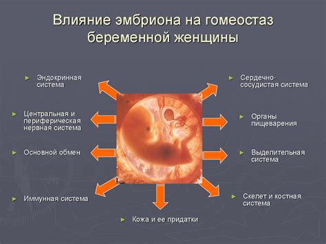 Изменения в организме