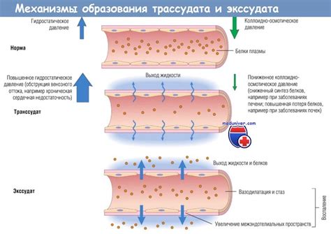 Изменения в работе сосудов