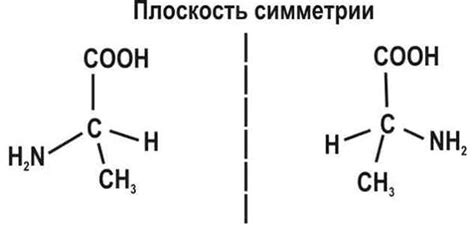 Изомеры: определение и основные принципы