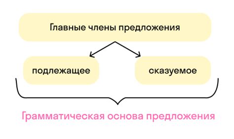 Изучение грамматической основы в школе и университете