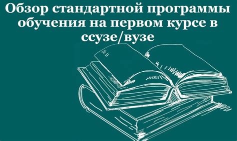 Изучение информатики на 1 курсе в вузе: советы для начинающих