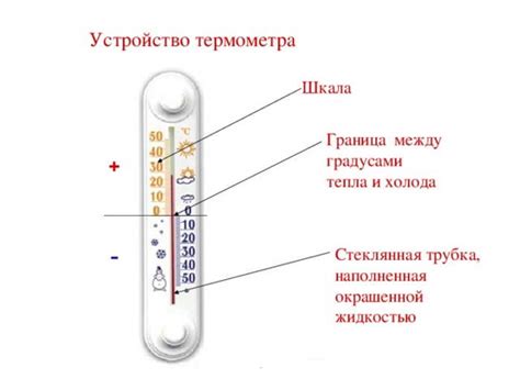 Из чего состоит термометр: