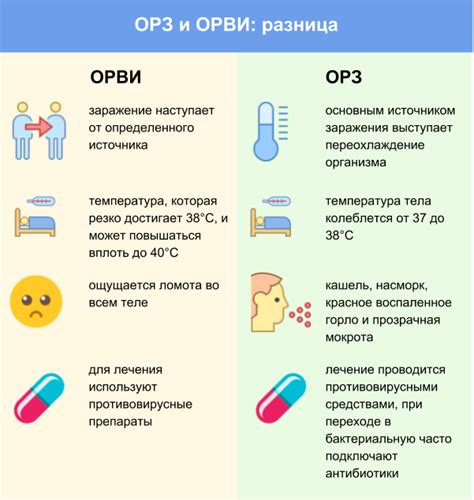 Имуномодуляторы в борьбе с ОРЗ и ОРВИ