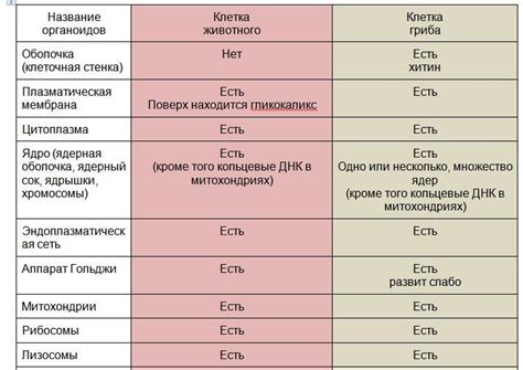 Ингредиенты: сходства и отличия